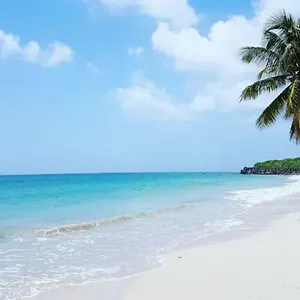 https://les-pieds-dans-leau-a-50m-de-la-plage-cote-mer-caraibe.comcaribbean.com